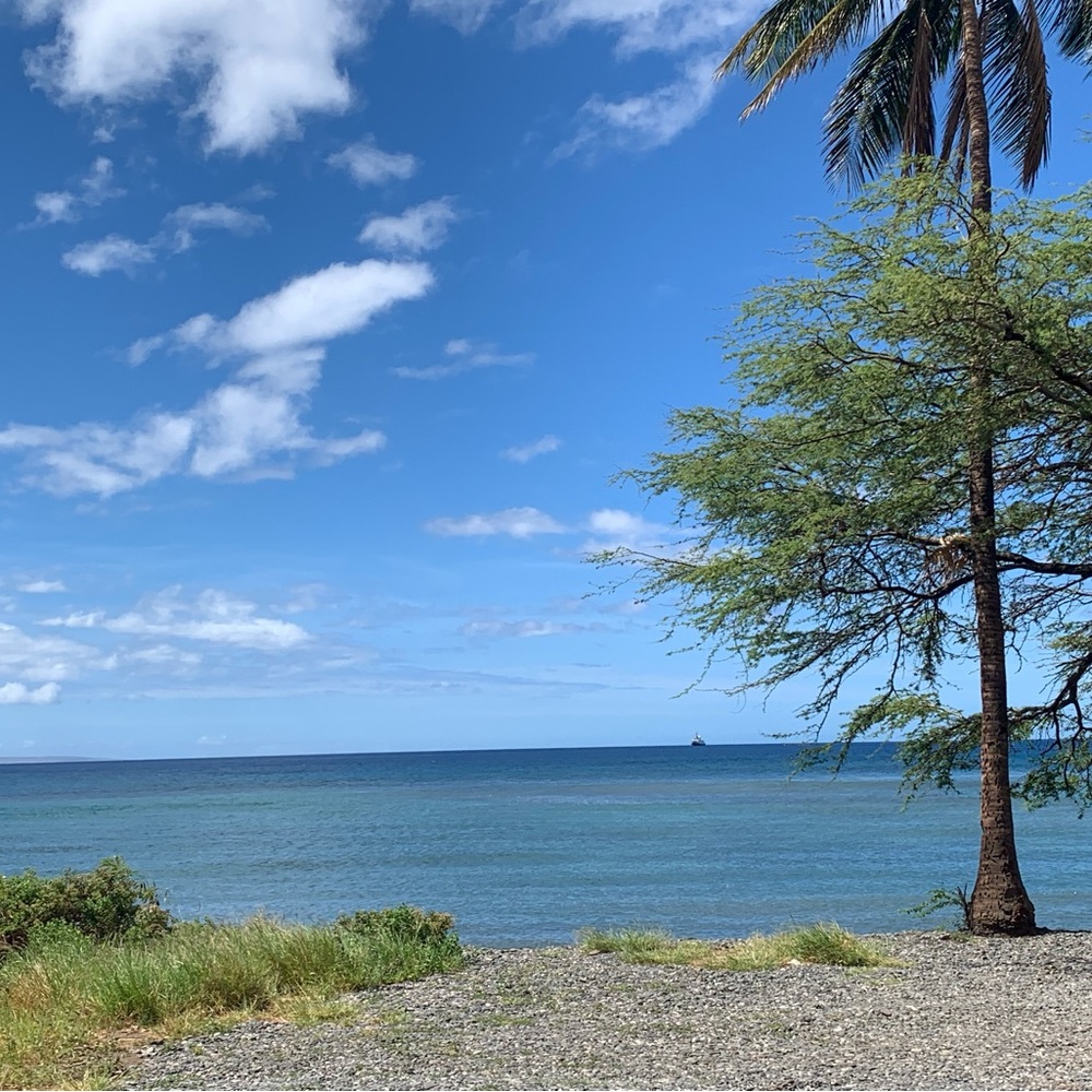 Meet your Posher, Vee